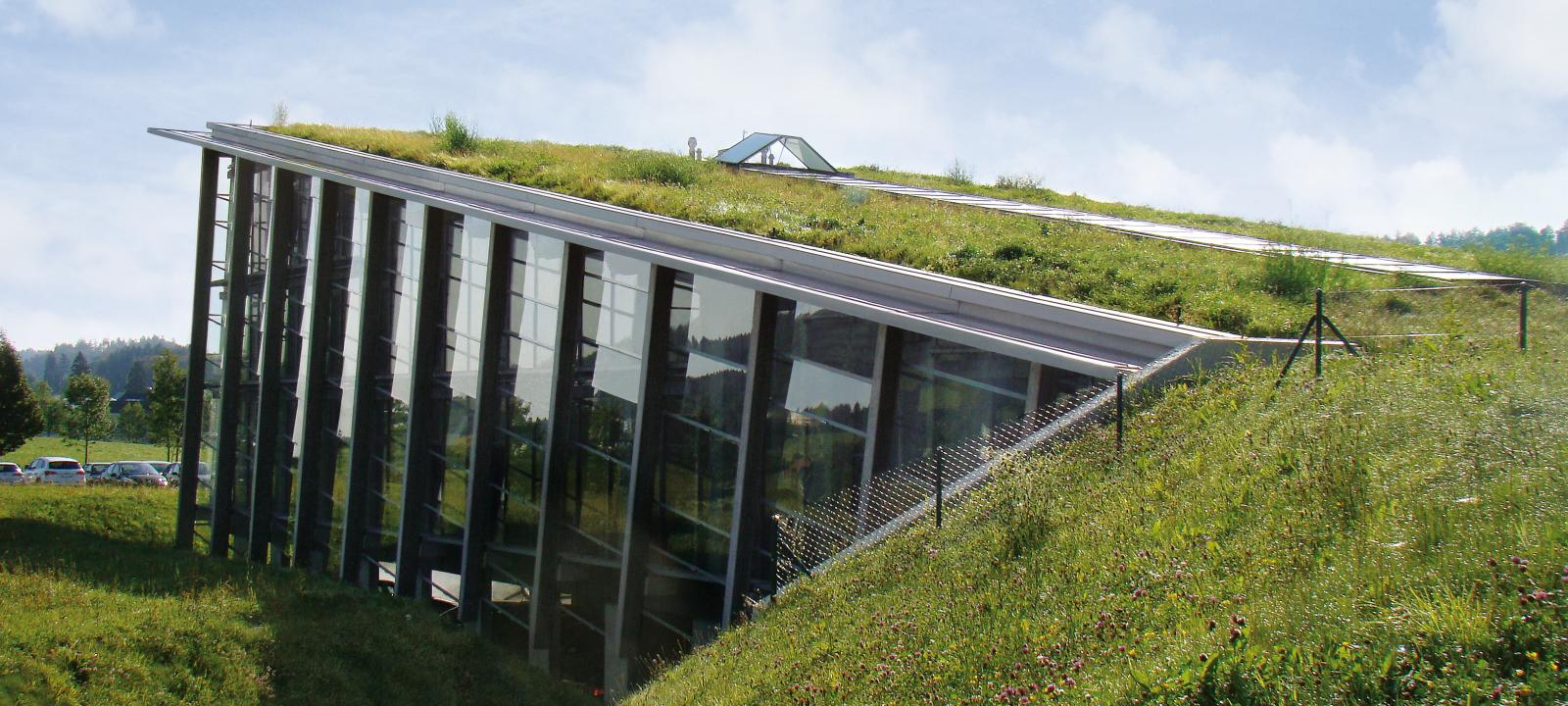 Pitched green roof